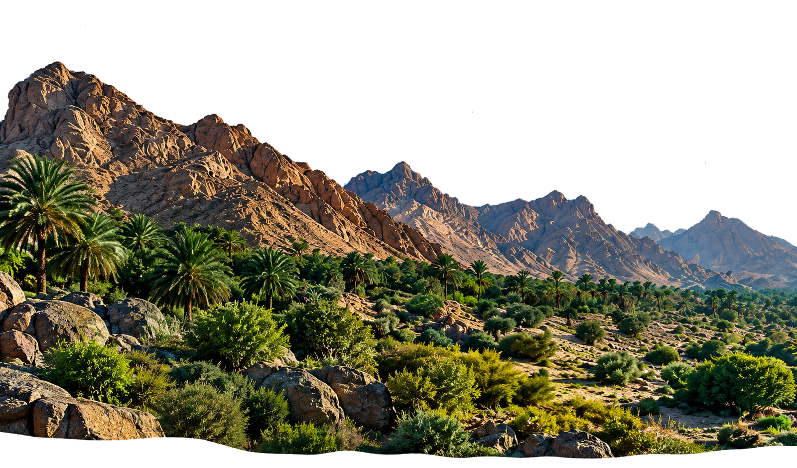 جبال وواحات المملكة العربية السعودية